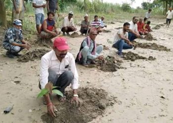 स्थानियले गरे डल्फिन क्षेत्रमा बृक्षारोपण