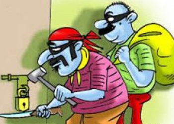 चोरीका घटनामा दैनिक वृद्धि हुदै