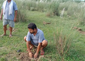 प्रस्ताबित समुदायिक बनमा बृक्षारोपण