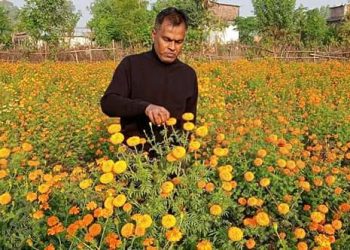 आफ्नै फुलबारी रमाउने सिताराम