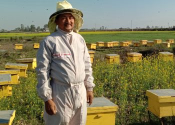 दाङबाट मौरी घार बोक्दै कैलाली पुगेका हमाल