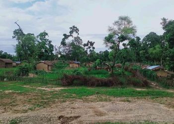 कष्टकर जीवन बिताउन बाध्य छन बाढी पिडितहरु