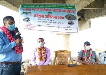 सप्ताहव्यापी डल्फिन कार्यक्रम सुरु