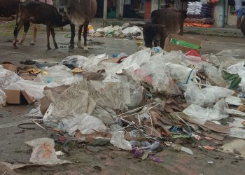 फोहोर उठ्न छोडेपछि बजारमा दुर्गन्ध बढ्दो