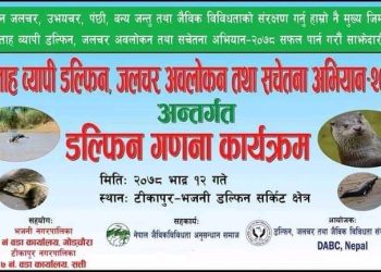 कैलालीमा डल्फिन गणना हुँदै