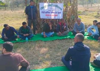 इलेक्ट्रो एसोसिएसनको अध्यक्षमा ढुंगाना