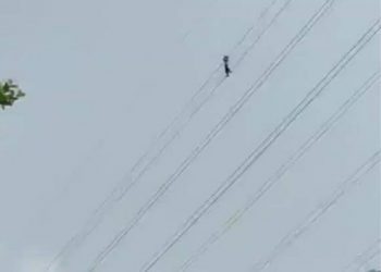 छ घण्टा देखि विद्युत लाइनमा हिड्दै एक पुरुष