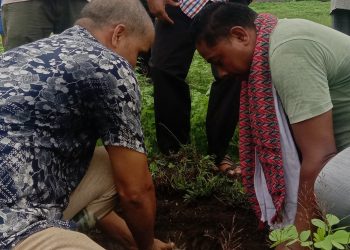 सार्वजनिक स्थलको संरक्षण नगरपालिकाले गर्छ : नगर प्रमुख