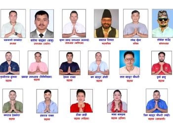 संघको निर्वाचनमा सापकोटा विजयी