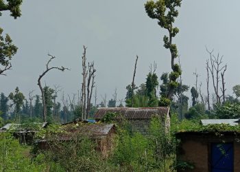 भोट बैंकको रुपमा प्रयोग हुँदै सुकुम्बासी शिविर