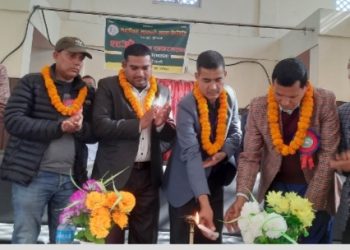 नवजीवनको मुनाफा साढे ११ करोड