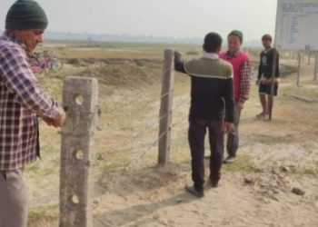खेती जोगाउन तारबार