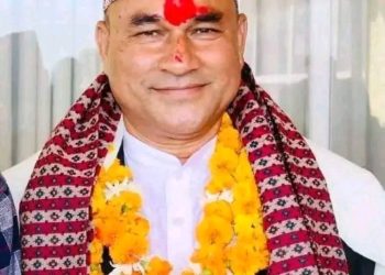 मुख्यमन्त्रीमा शाह नियुक्त