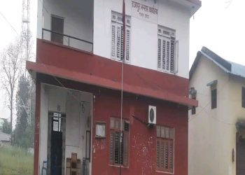 कार्यालय सहयोगीको भरमा भन्सार कार्यालय