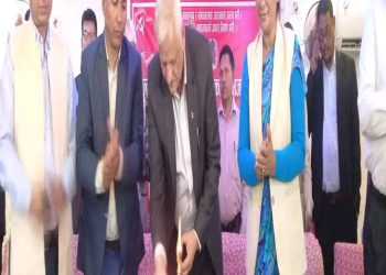 गुटबन्दीले सकारात्मक परिणाम दिँदैन : भट्ट