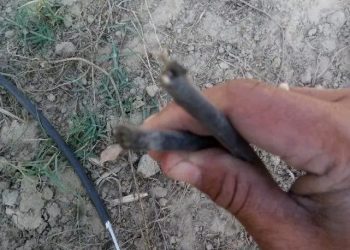 अप्टिकल फाइबर काटिन थालेपछि सेवा प्रवाहमा समस्या