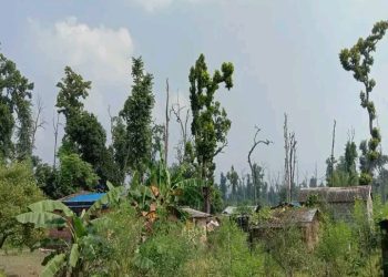 मन्त्री हाम्रै छन् अब लालपुर्जा पाउँछौं की”