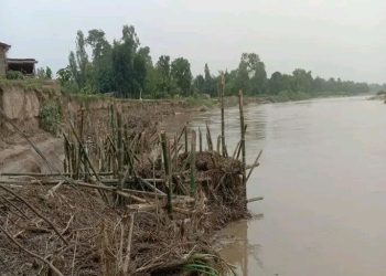 “बाढी र डुवान नियन्त्रण भजनीको पहिलो आवश्यकता”