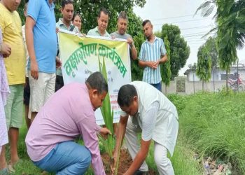 नगरपालिकाले खाली जग्गामा फलफुल रोप्दै