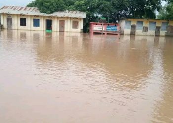 बाढीको दीर्घकालीन समाधान चाहन्छ भजनी