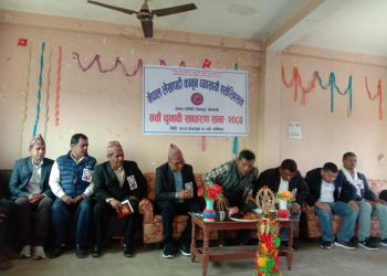 लेखापढी कानुन व्यवसायीको अध्यक्षमा बिनाडी चयन