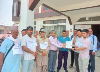 प्रारम्भिक बालविकास तहदेखि नै शैक्षिक गुणस्तर कायम गर्नुपर्ने माग