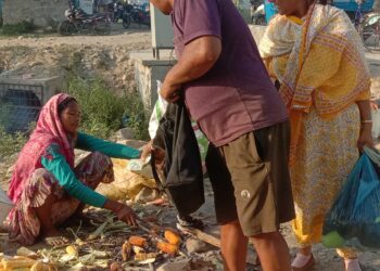 मकै खेती विस्तारसँगै मकै बेचेर जीविकोपार्जन