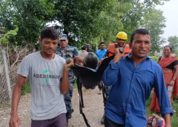 कृतिम अभ्यास कार्यक्रम