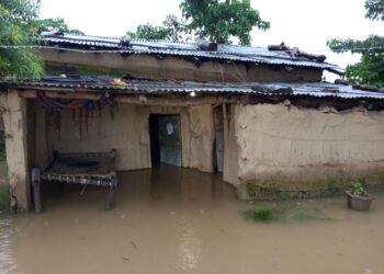 बाढीका कारण जनजीवन प्रभावित