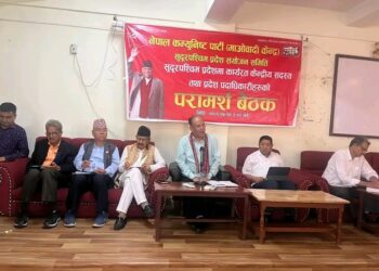 संविधान माथी घात हुने शंका पैदा भएको छ : प्रचण्ड