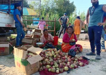 जुम्लामा उत्पादन कैलालीको व्यापार