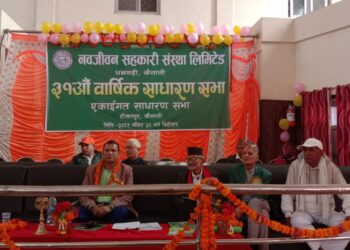 नवजीवनको नाफा १६ करोड बढी