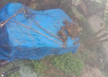 मदिरा सेवन गरी एम्बुलेन्स चलाउँदा नदीमा खस्यो