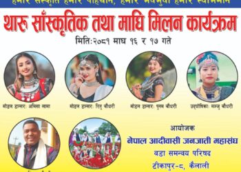 बृहत सांस्कृतिक कार्यक्रम हुँदै
