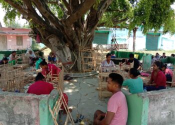 सीप सिकेर आत्मनिर्भर बन्ने प्रयासमा उपभोक्ता