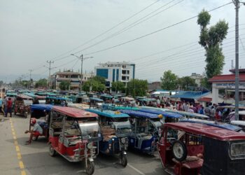 व्यवस्थित शहरमा अव्यवस्थित अटो रिक्सा