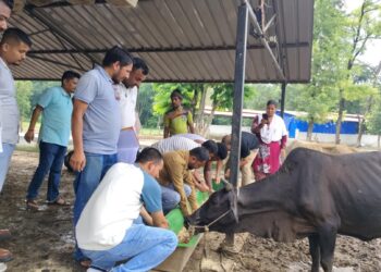 गौशालालाई आहार सहयोग