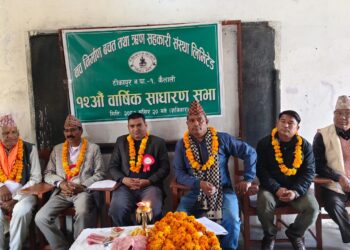 नव निर्माणको खुद नाफा ६ लाख बढी
