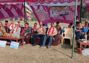 टी–१० क्रिकेट उपाधी घोडाघोडीलाई