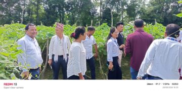समितिद्वारा विभिन्न परियोजनाको स्थलगत अनुगमन