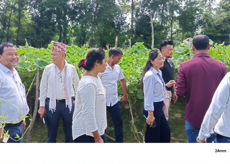 समितिद्वारा विभिन्न परियोजनाको स्थलगत अनुगमन