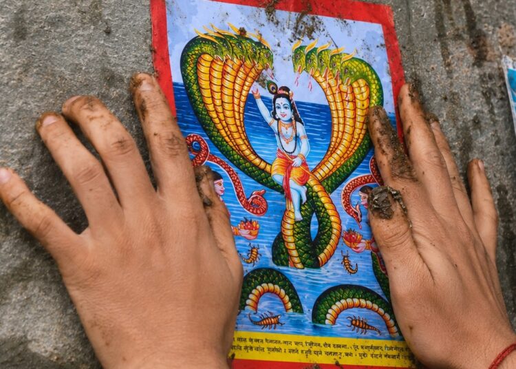 नागपञ्चमी पर्व आज मनाइँदै
