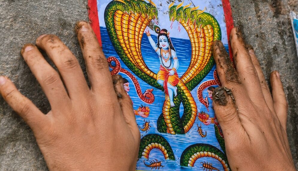 नागपञ्चमी पर्व आज मनाइँदै