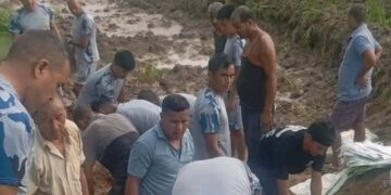 जनश्रमदान मार्फत जैविक तटबन्धन