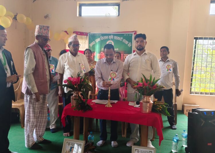 उन्नत साना किसानको सम्पत्ति झण्डै साढे तीन करोड