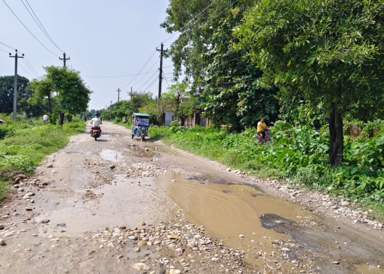 सडककै कारण वर्षौंदेखि सास्ती खेप्दै हजारौं विद्यार्थी